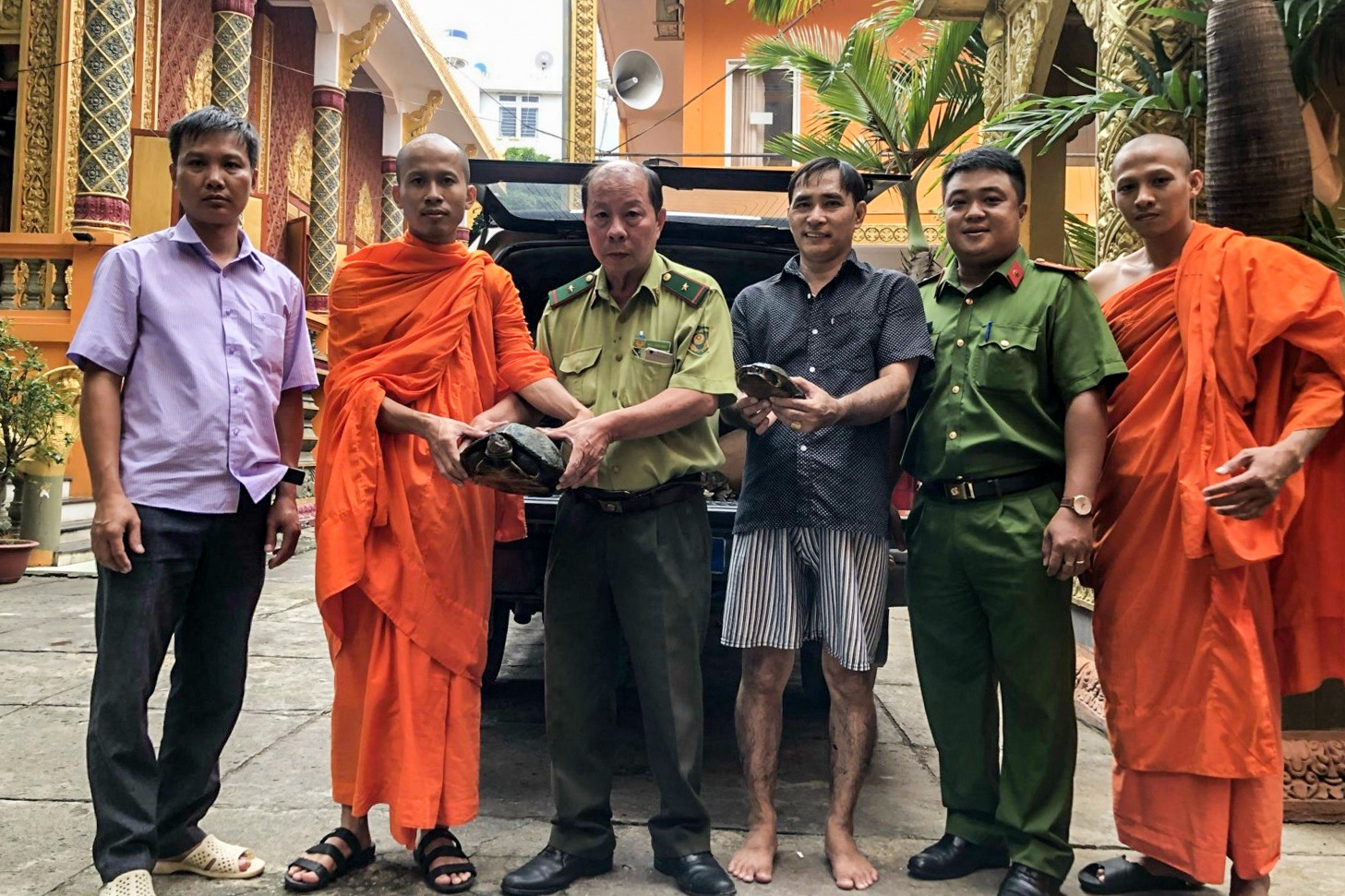 TP.HCM tiep nhan cuu ho rua tu cac nha chua anh 1