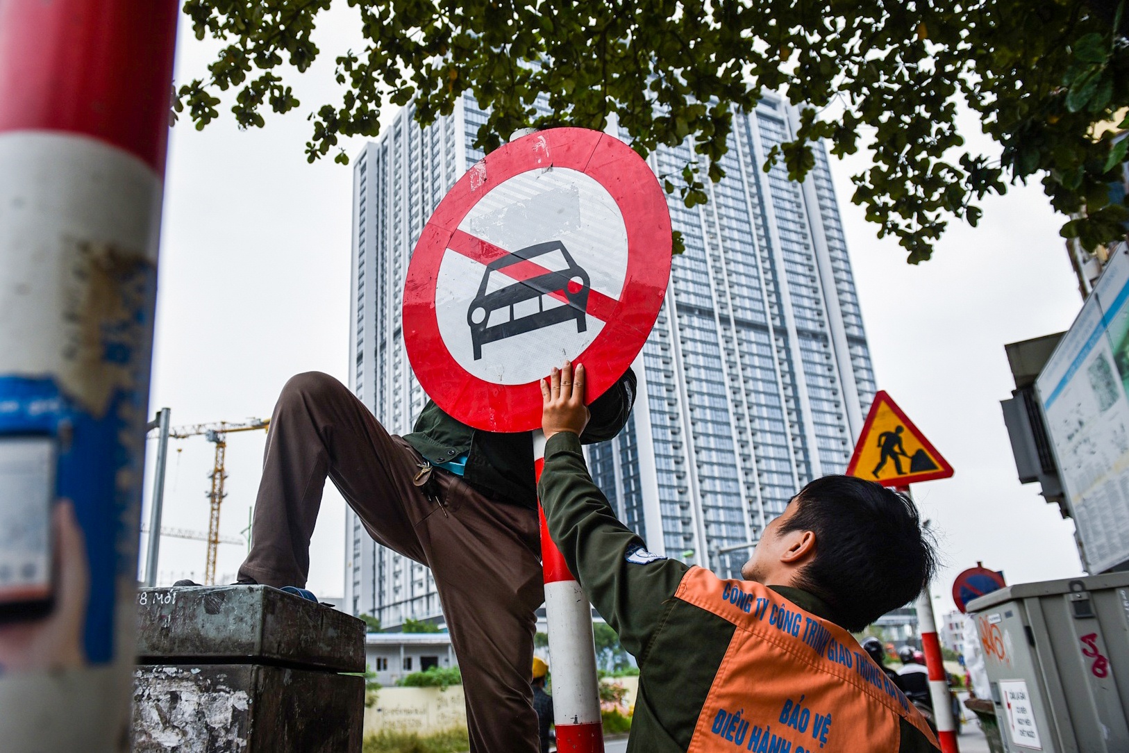 TP.HCM xu ly bien bao hong, 'nup lum' trong tan cay hinh anh