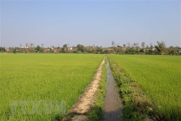 Sua Luat Dat dai anh 1