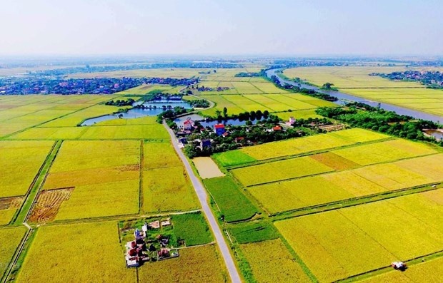 Du thao Luat Dat dai sua doi: Tich tu, tap trung dat dai hinh anh