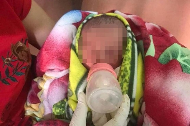 Be so sinh chua cat day ron bi bo roi duoi goc cay hinh anh