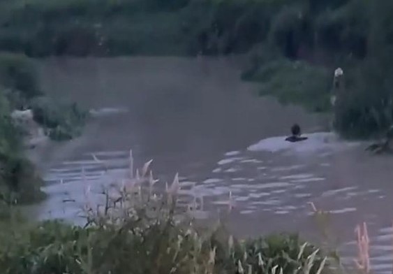 Mot thieu nien o Dong Nai bi nuoc cuon mat tich hinh anh