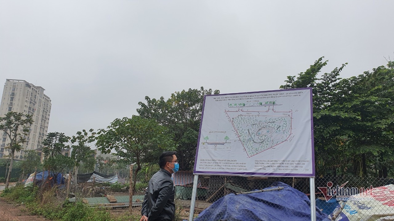 phan lo ban nen anh 2