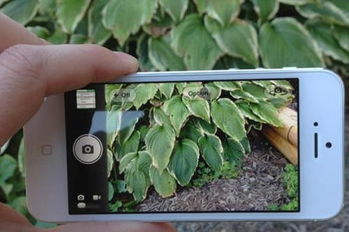 Gap su co khi quay video voi iPhone 5 hinh anh