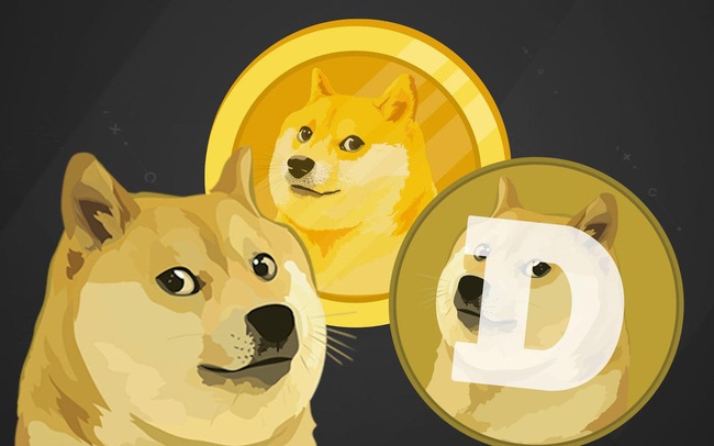 'Hay can than khi dau tu Dogecoin' hinh anh