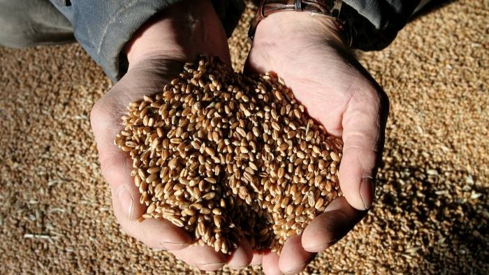 Gia thuc pham toan cau tang cao nhat trong 10 nam hinh anh