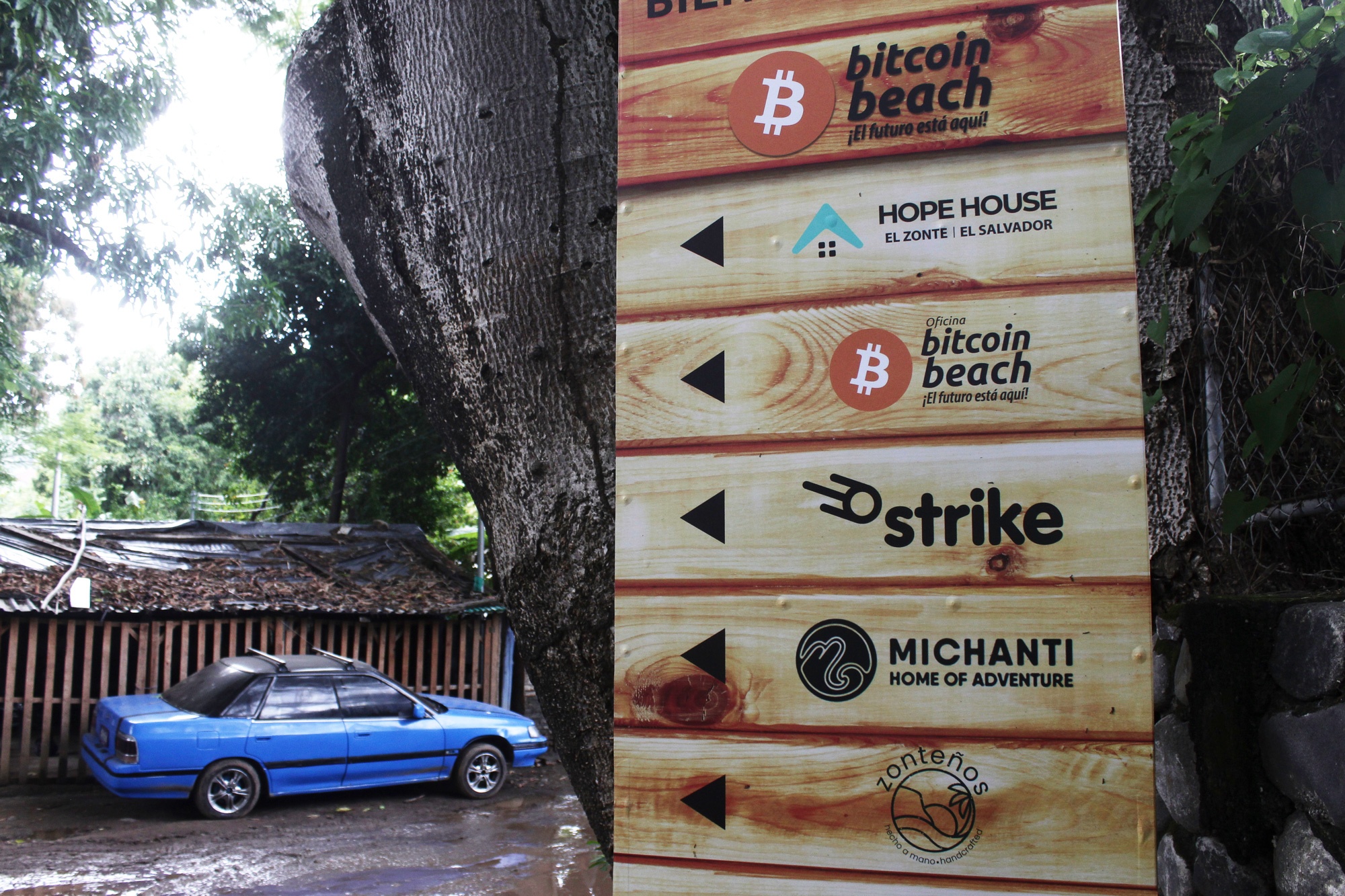 Lang chai nho cua El Salvador the nao sau khi hop phap hoa Bitcoin anh 2