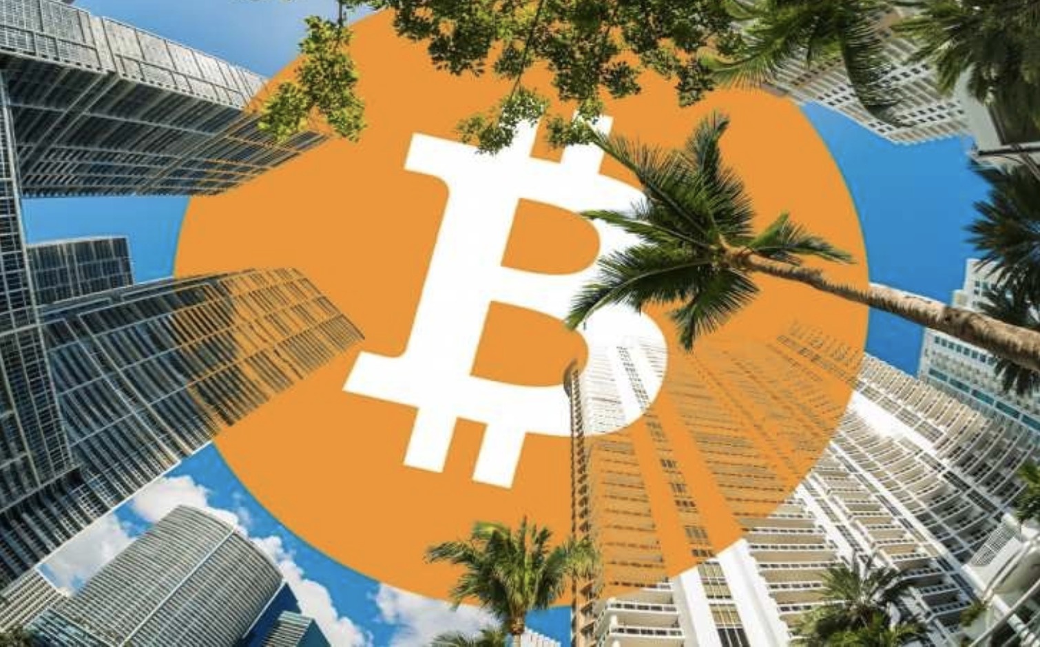 Miami co the tro thanh thu do tien ma hoa the gioi hinh anh