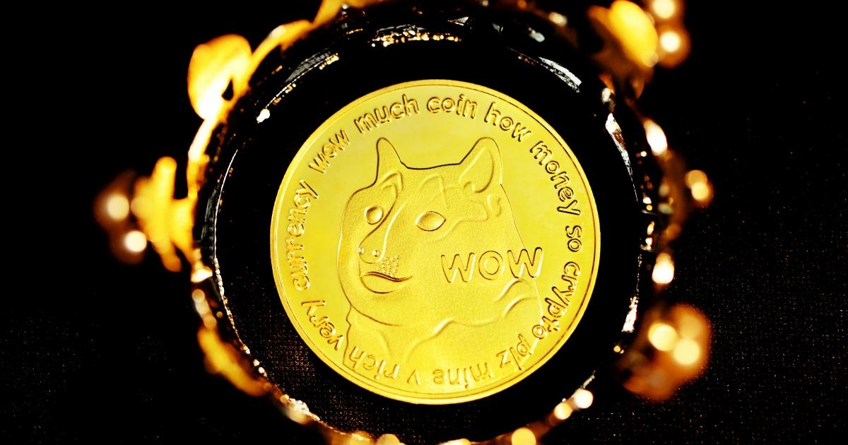 Gia Dogecoin lao doc, tai san cua 'ca voi' bay hoi gan 16 ty USD hinh anh