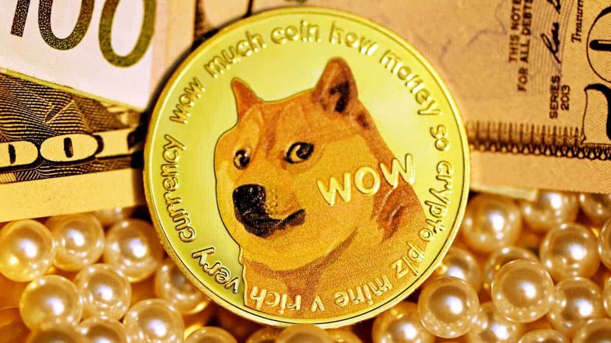 Cha de Dogecoin: 'Nhung nhan vat sieu giau kiem soat tien ma hoa' hinh anh