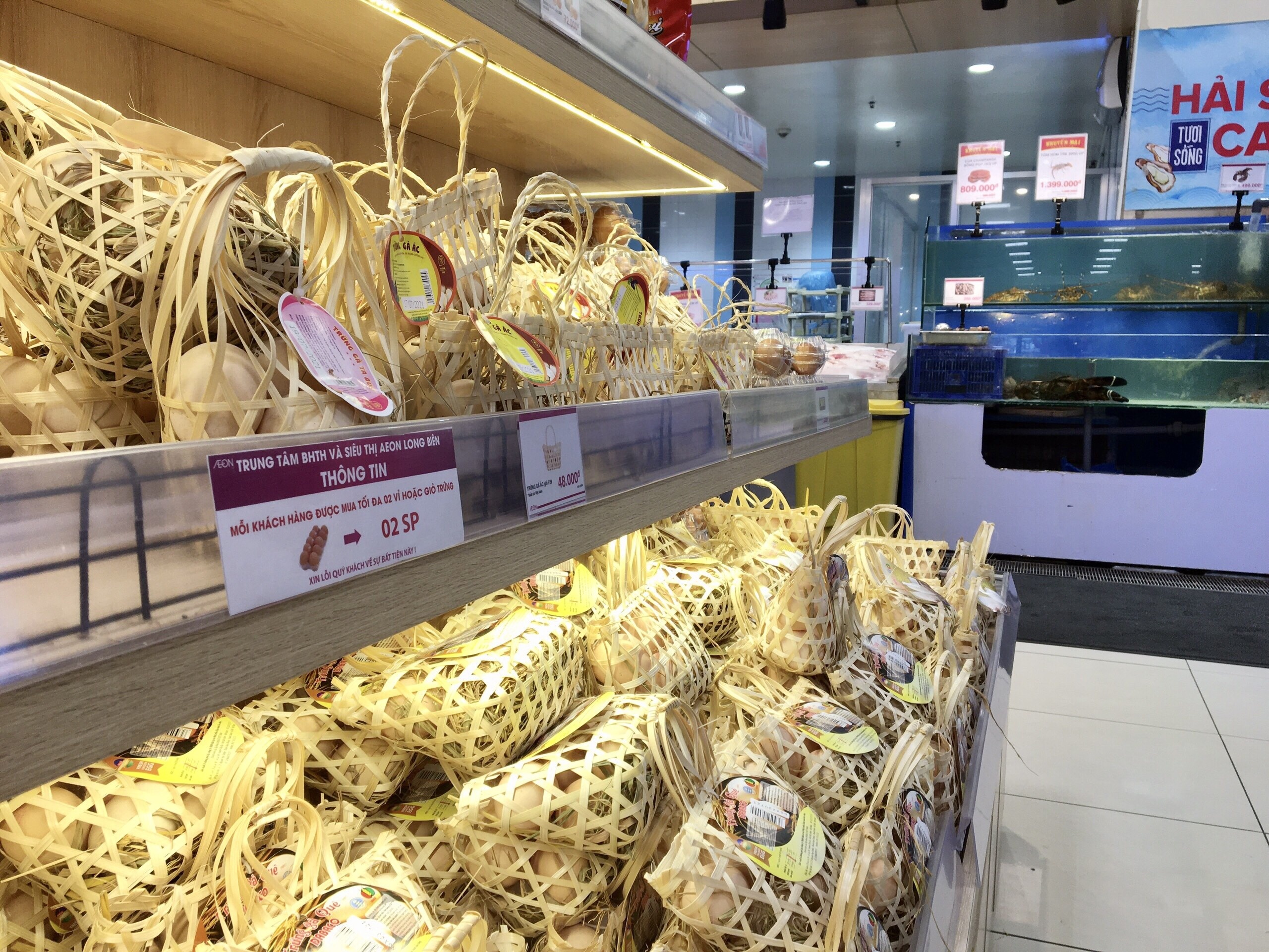 Trung ga o Ha Noi tang anh 1