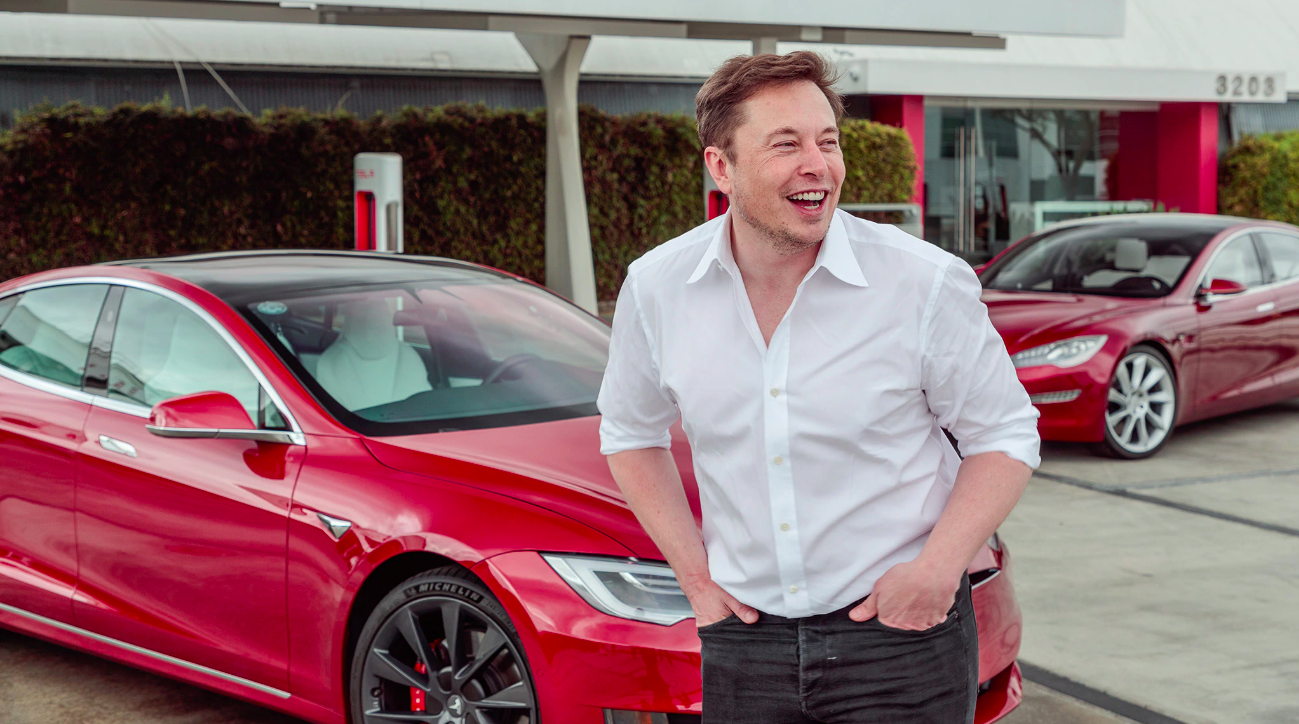 Tesla se dat chan toi An Do? hinh anh