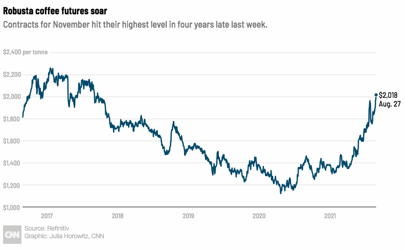 Gia ca phe tang cao nhat trong 4 nam anh 1