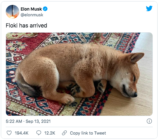 Elon Musk lai 'thoi' gia tien ma hoa anh 1