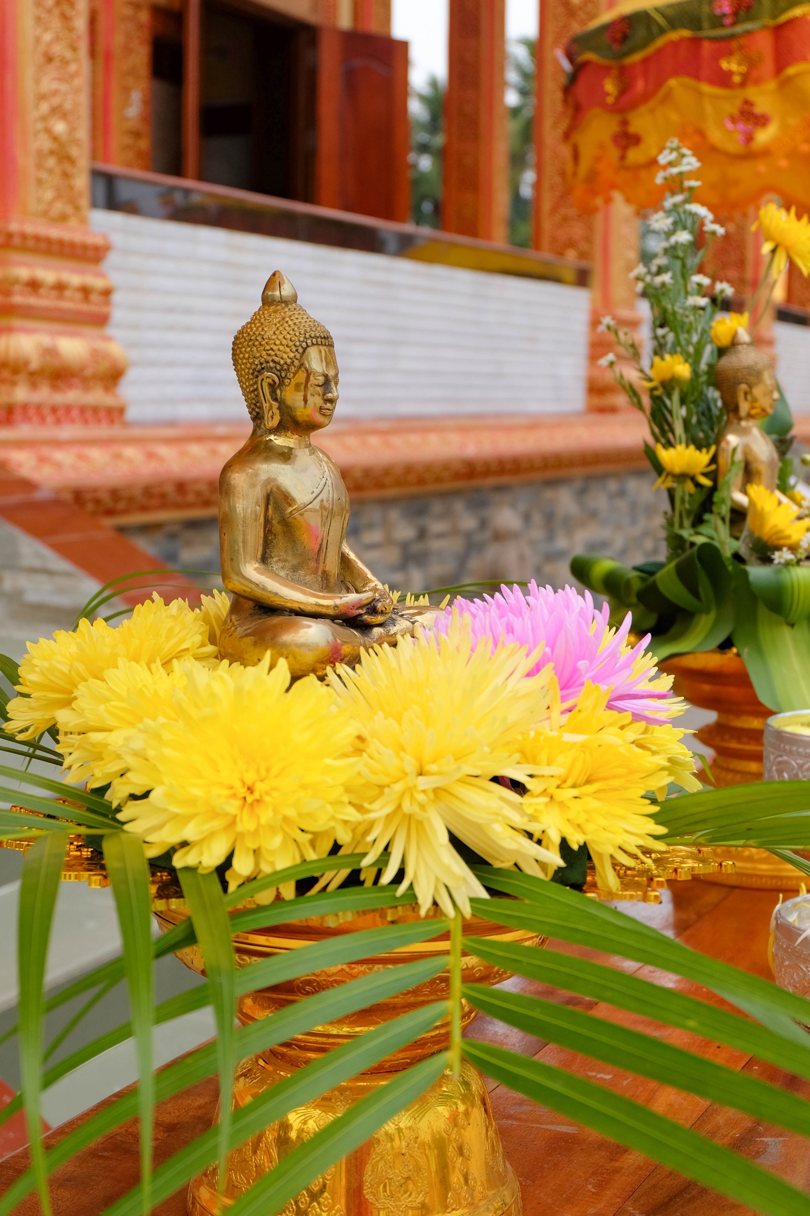 An Giang ảnh 7 An Giang anh 7