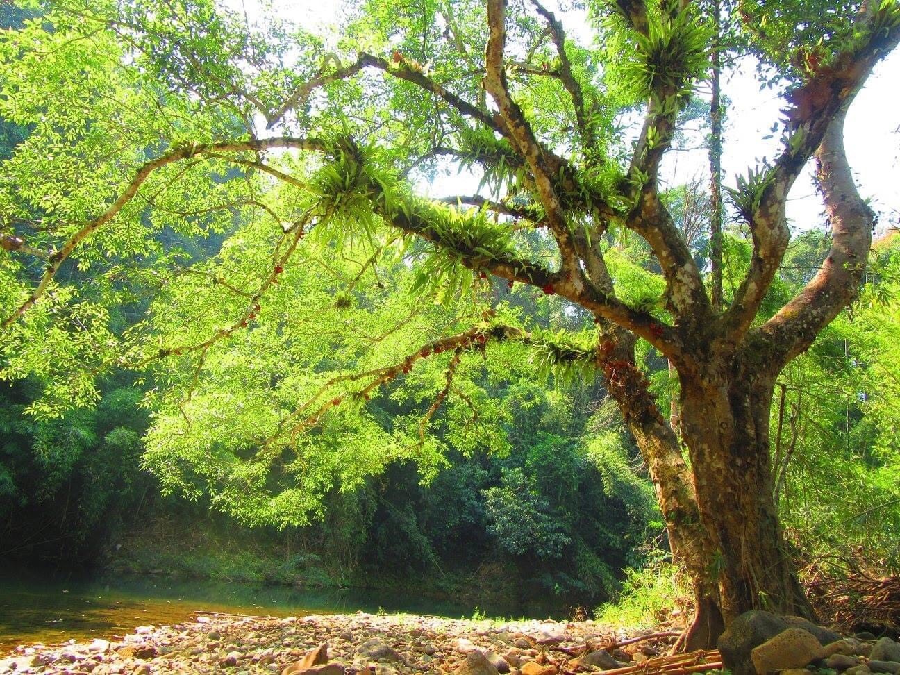 Dia diem tham quan anh 10