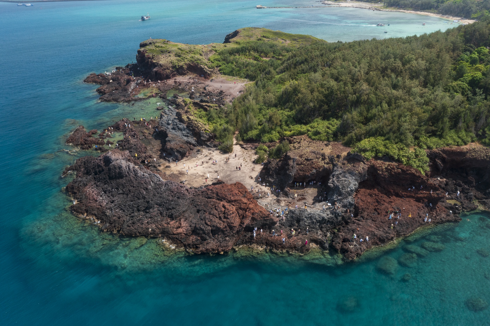 Sau le, Phu Quy van kin phong 2 ngay cuoi tuan hinh anh