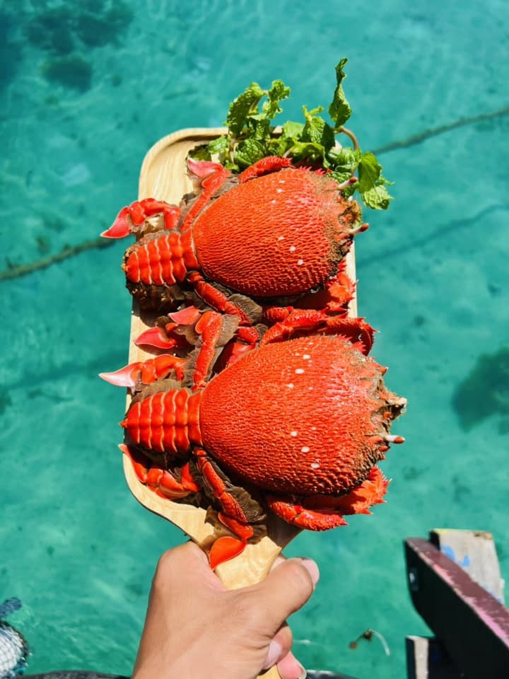 Du lịch Phú Quý ảnh 2 Du lich Phu Quy anh 2