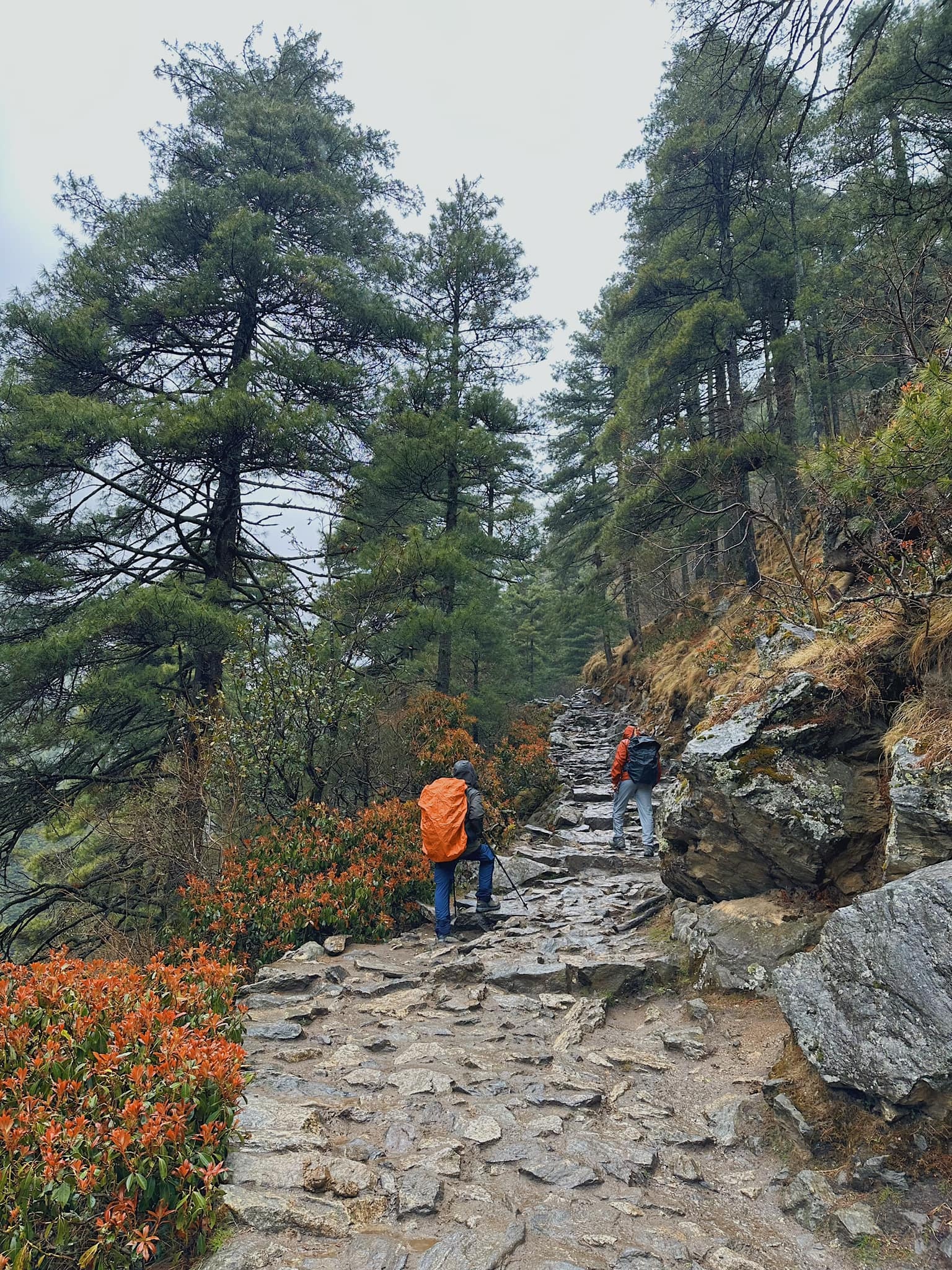Everest Base Camp anh 1
