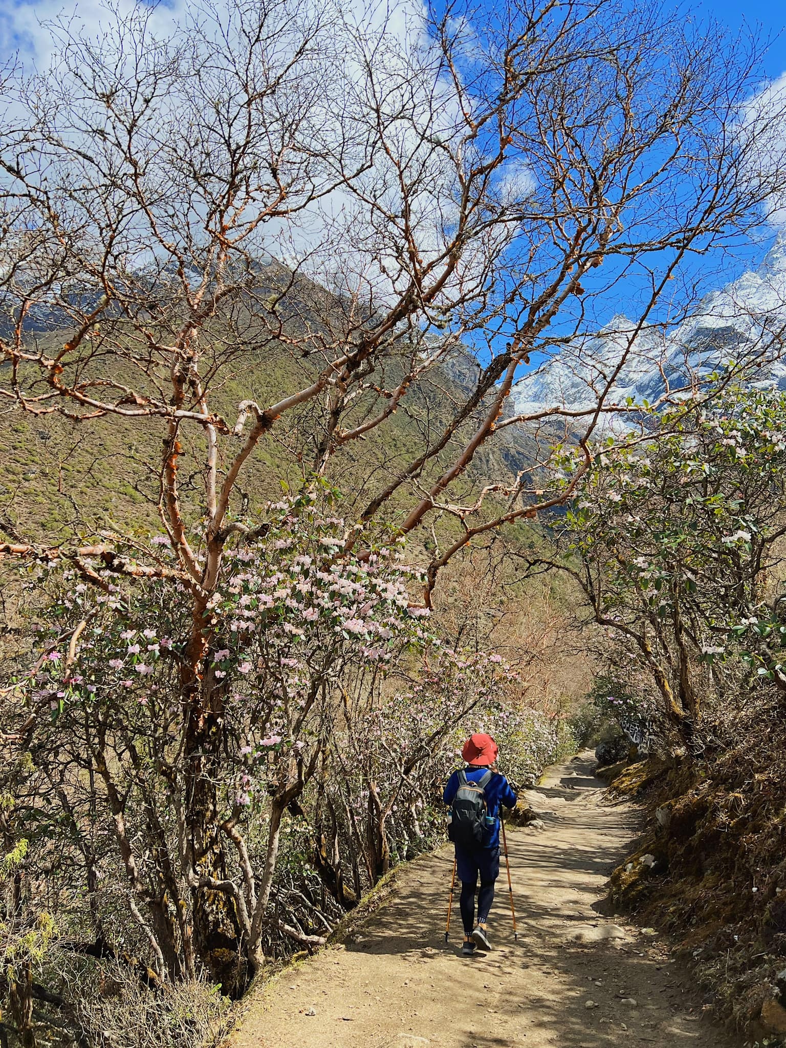 Everest Base Camp anh 7