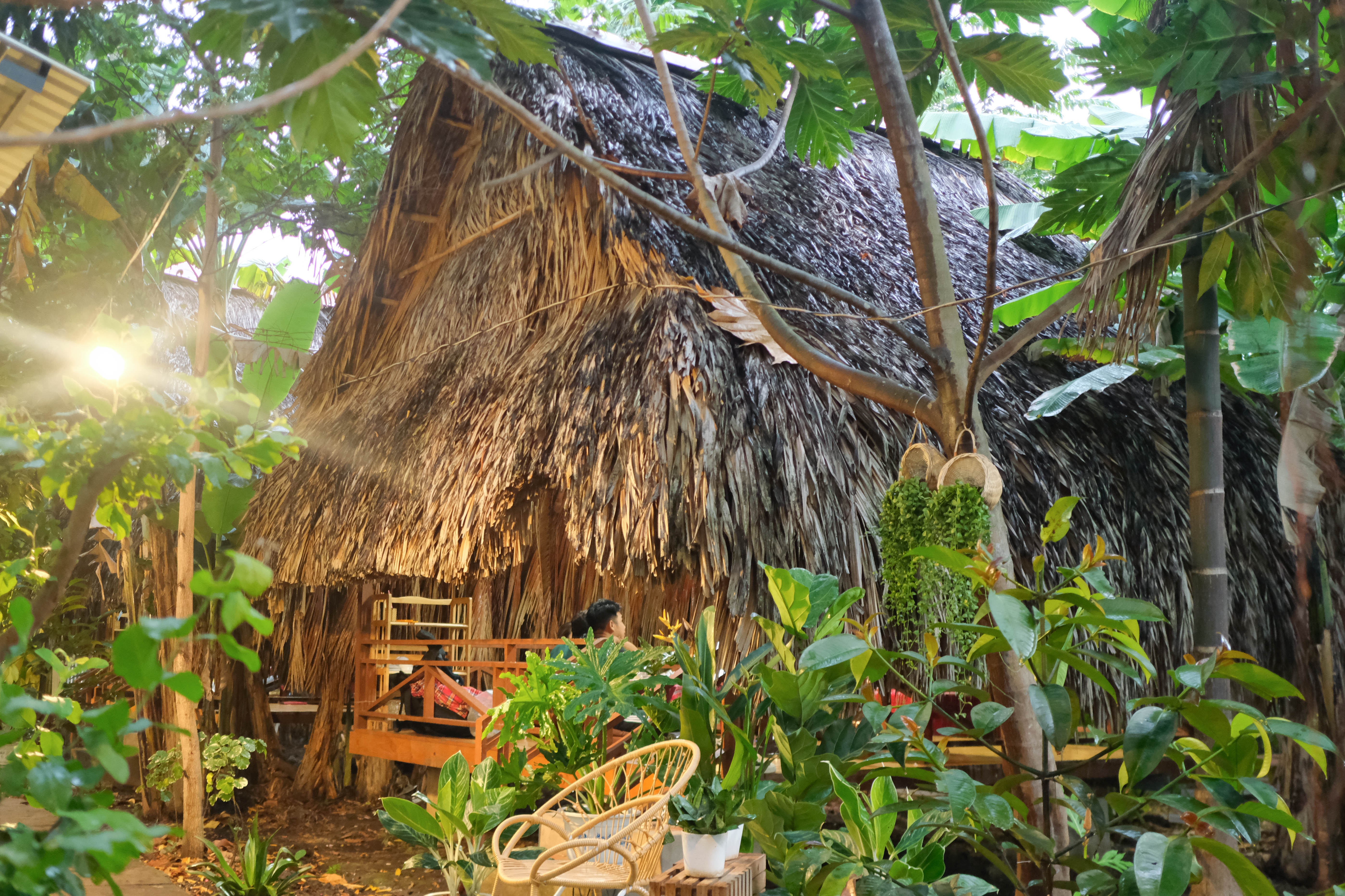 Goi ga mang cut anh 8