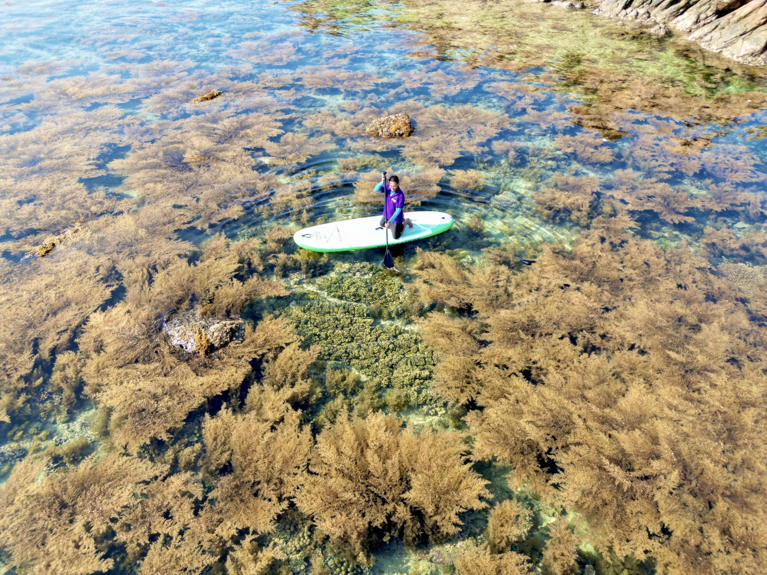 He ve Hon Kho don mua rong mo hinh anh