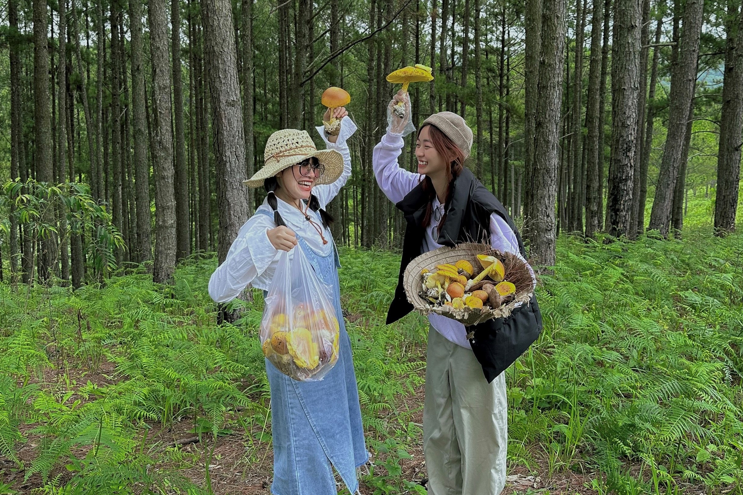 San nam rung mua mua o Da Lat hinh anh