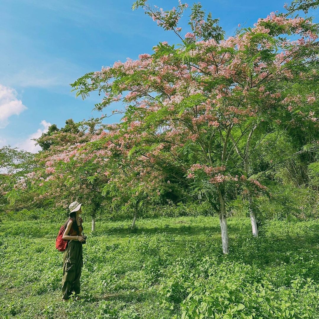 Du lich le 30/4 anh 13