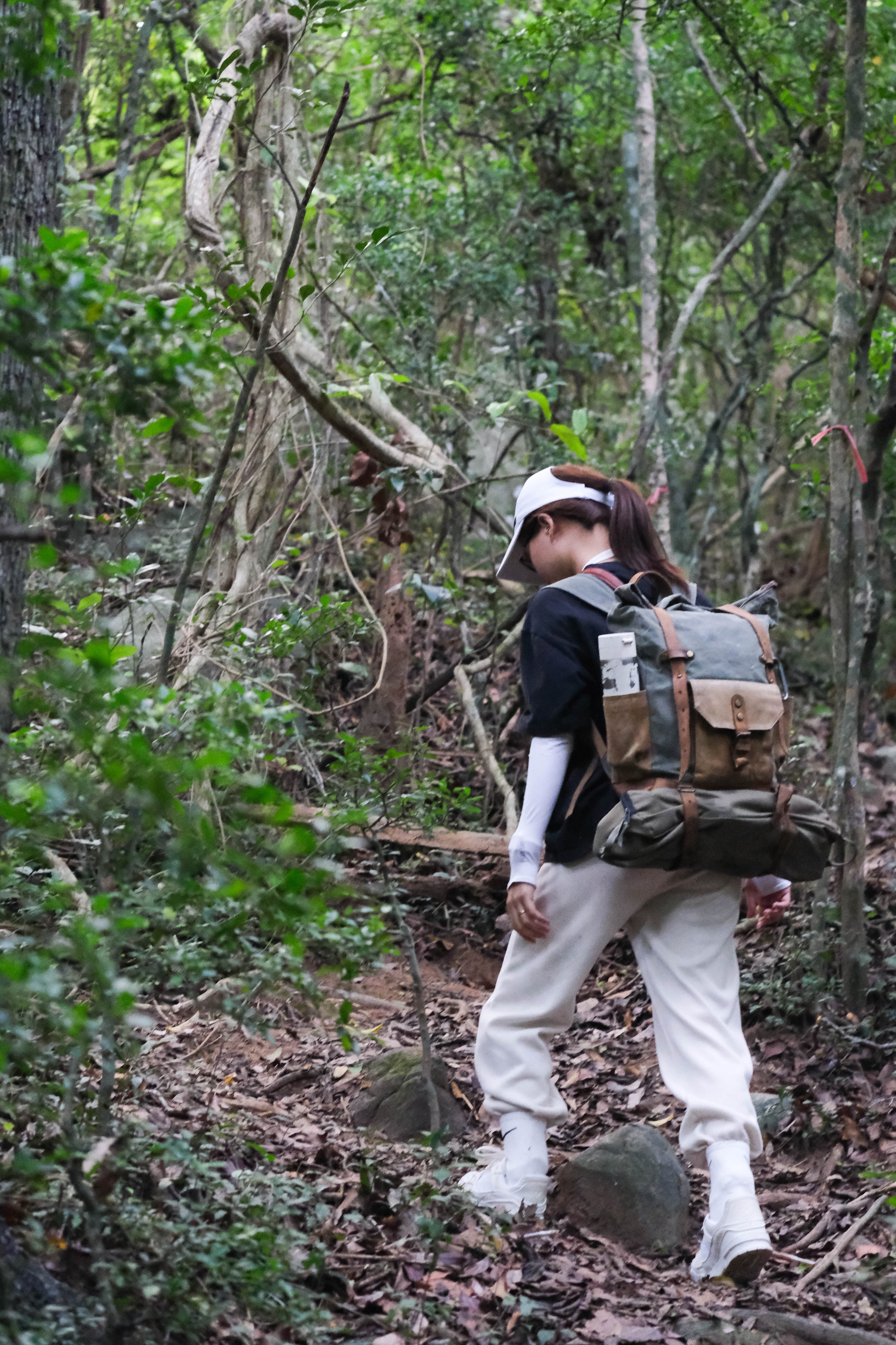 đỉnh Tầm Bồ ảnh 4 dinh Tam Bo anh 4