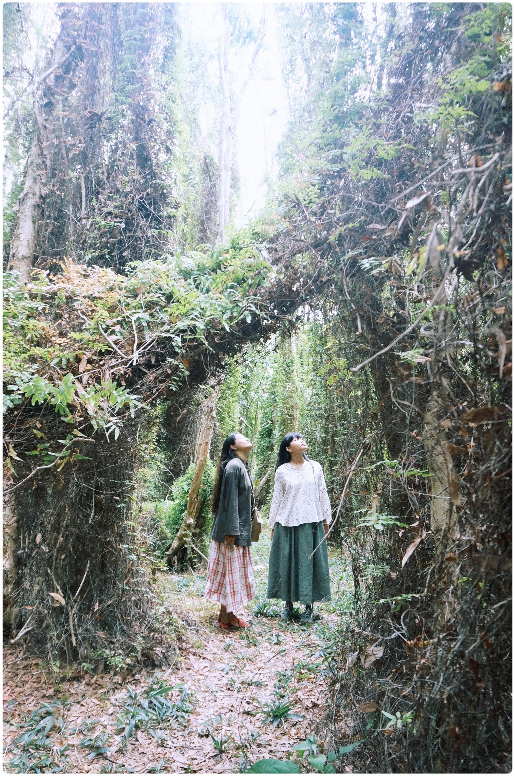 đỉnh Tầm Bồ ảnh 17 dinh Tam Bo anh 17