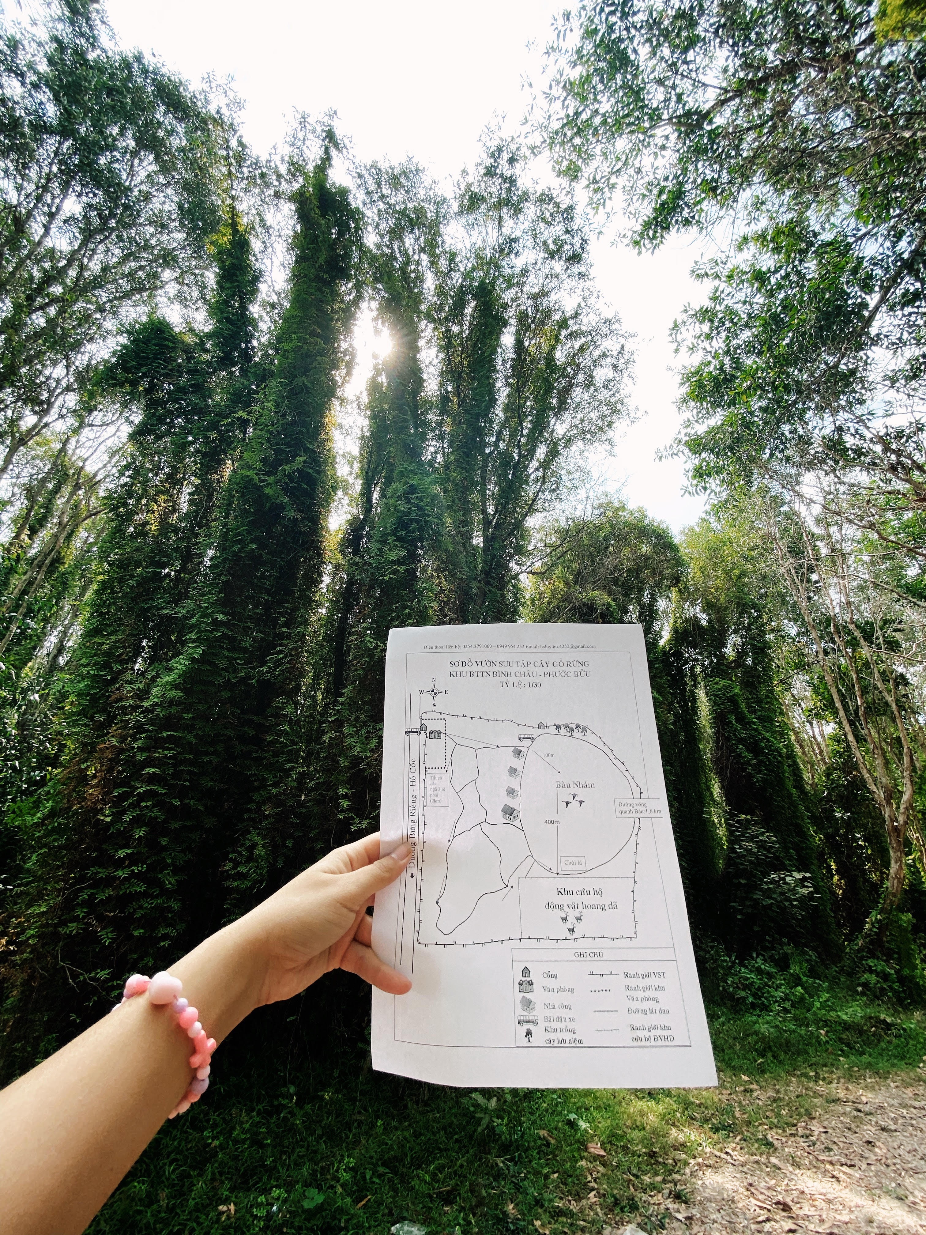 đỉnh Tầm Bồ ảnh 18 dinh Tam Bo anh 18