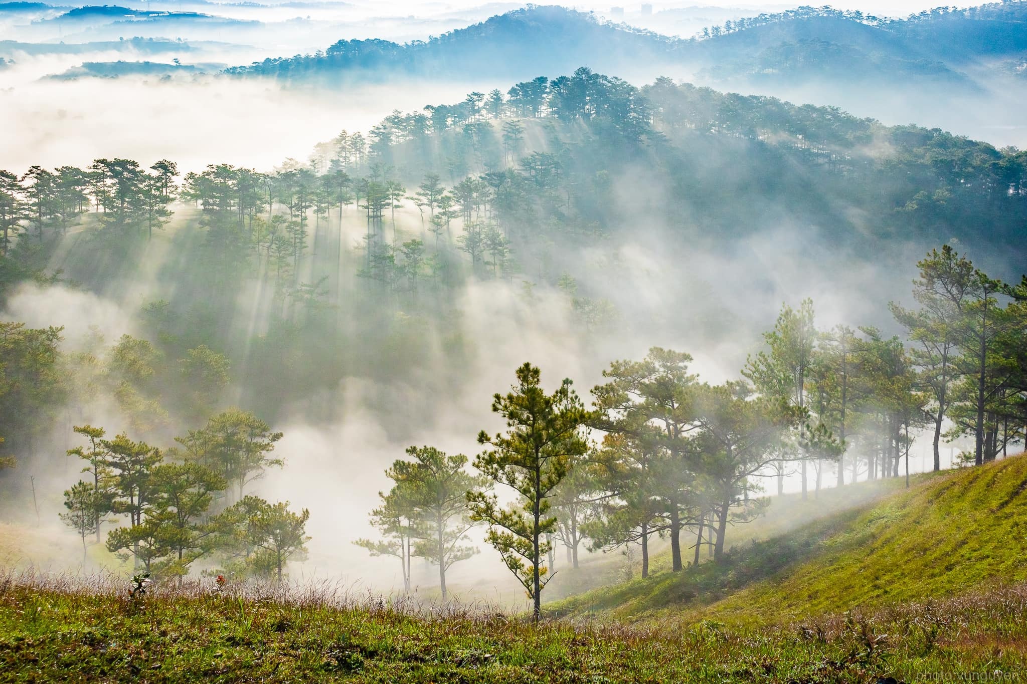 san may Da Lat anh 3