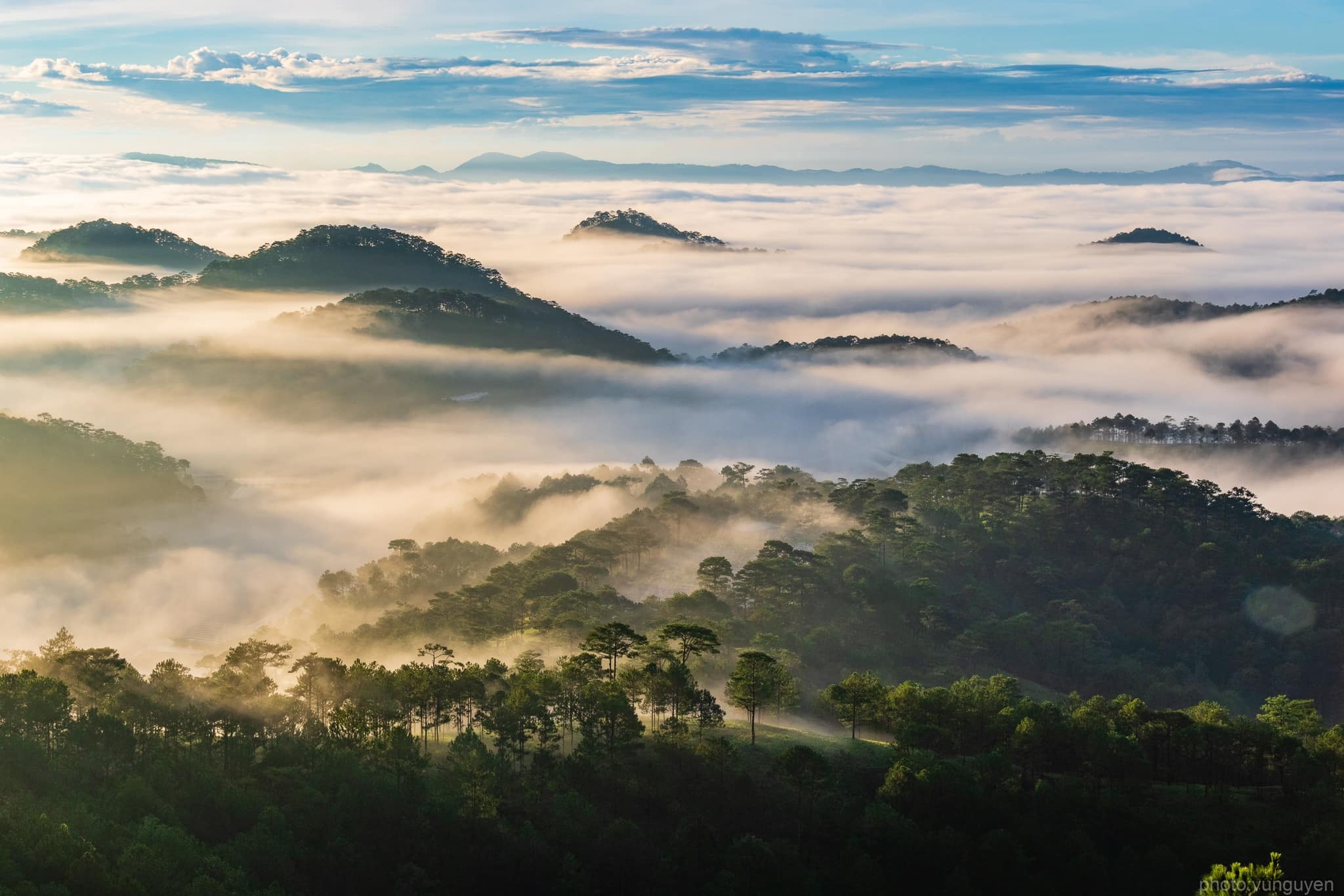 san may Da Lat anh 9
