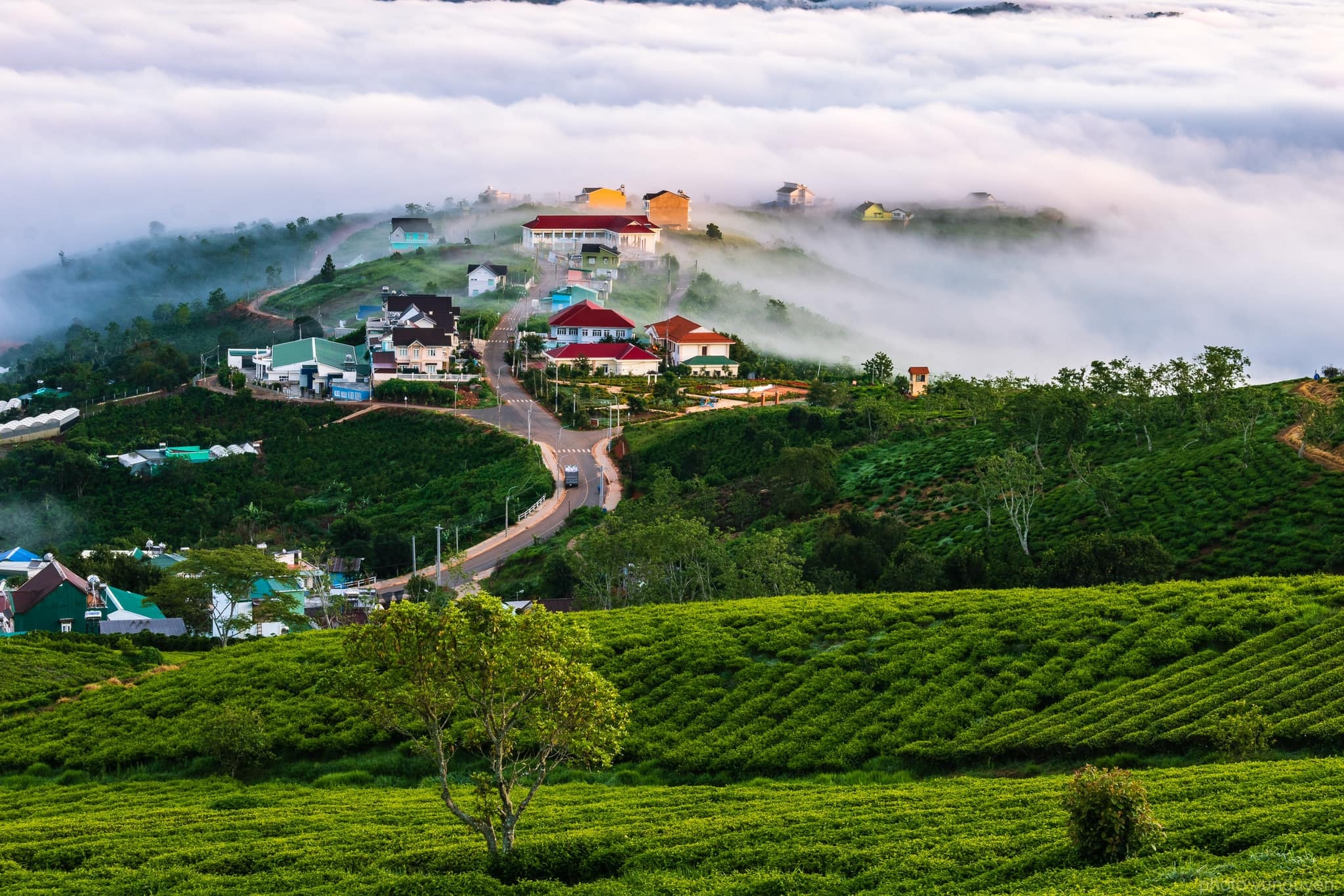 san may Da Lat anh 5