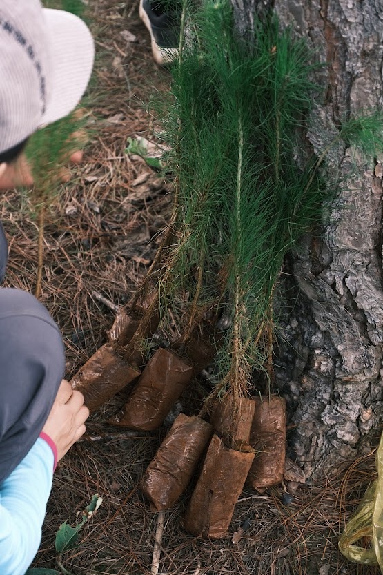 Du lich trai nghiem anh 4