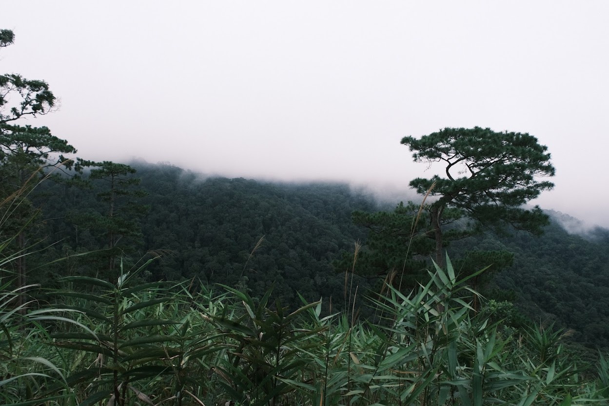 Du lich trai nghiem anh 3