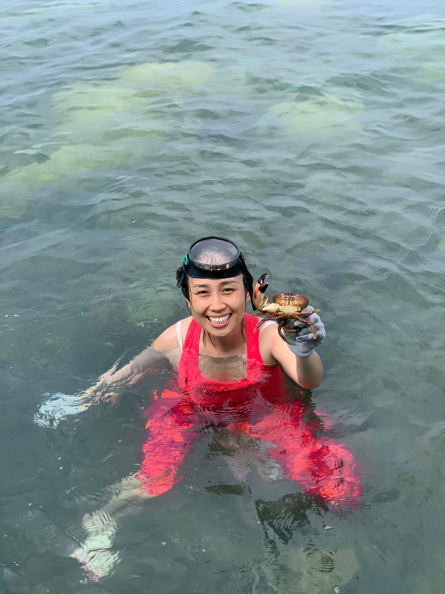 Đảo Hải Tặc ảnh 5 Dao Hai Tac anh 5