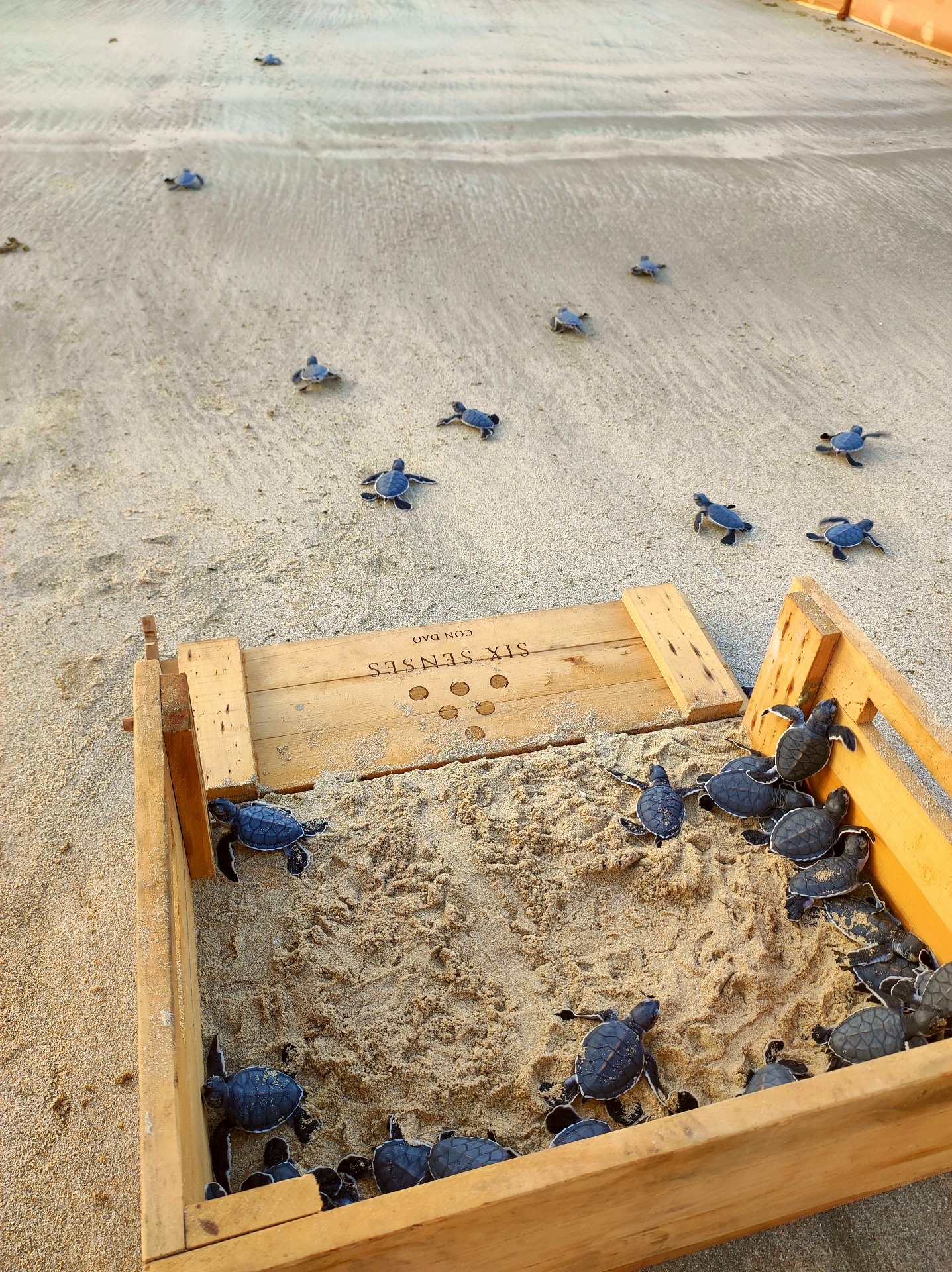 Du lich ben vung anh 6