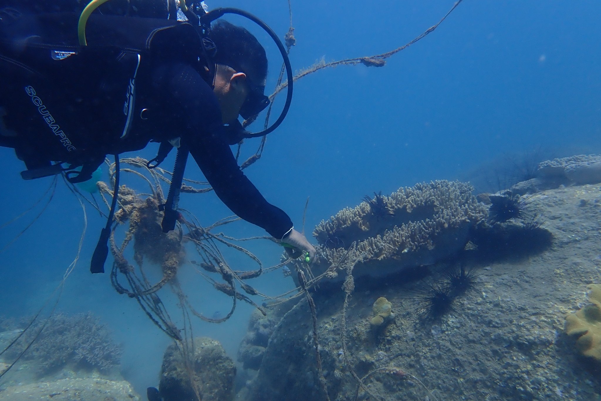 du lịch đảo ảnh 3 du lich dao anh 3