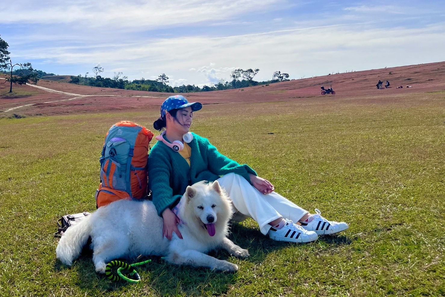 Toi doi co Masara nhanh keo lo mua co hong ruc ro nhat hinh anh