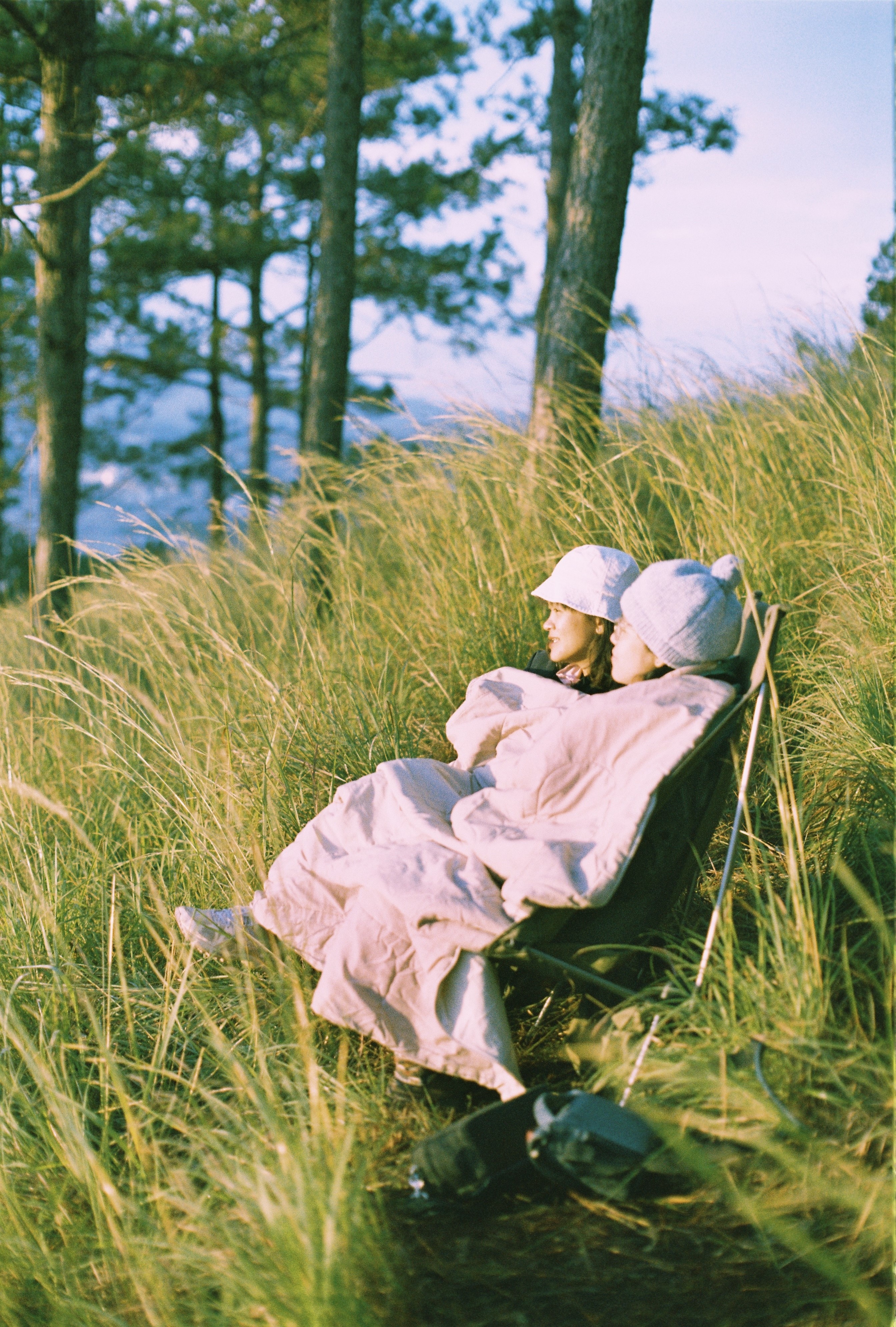 Cam trai Da Lat anh 11