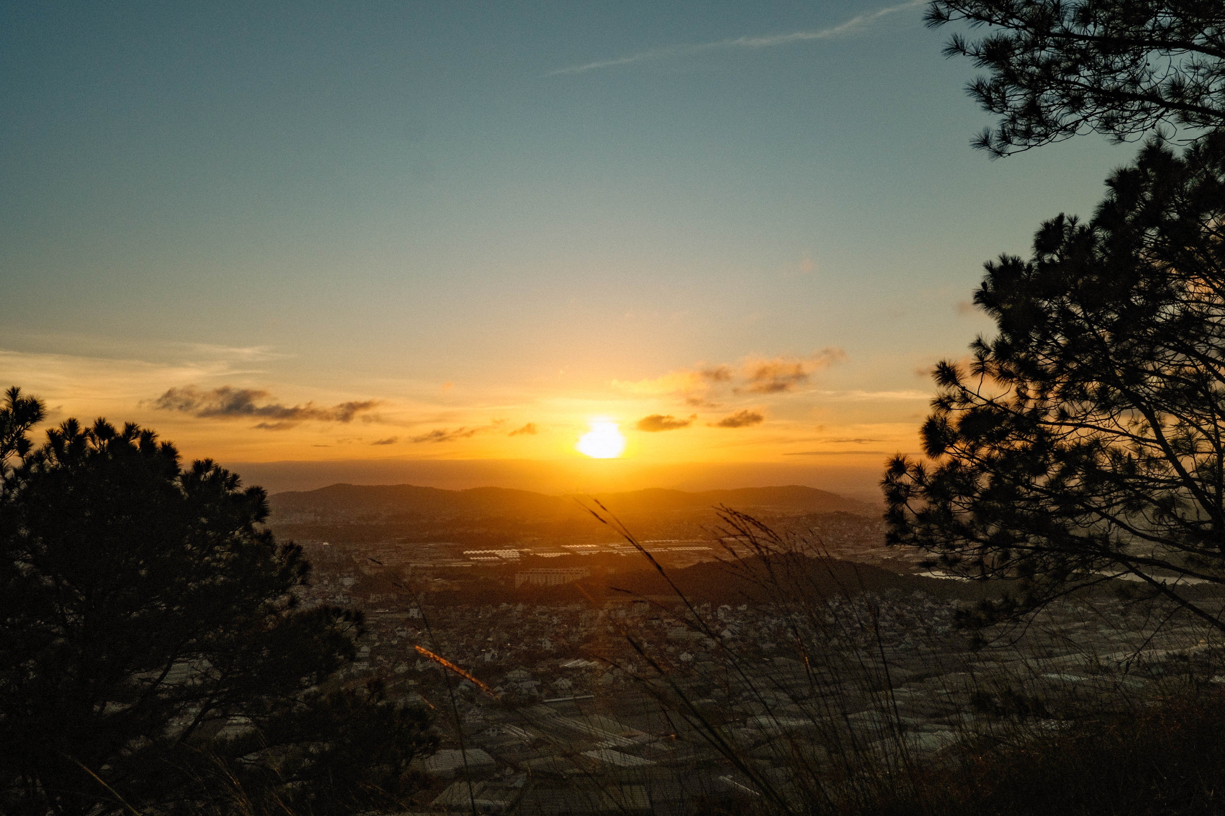 Cam trai Da Lat anh 4