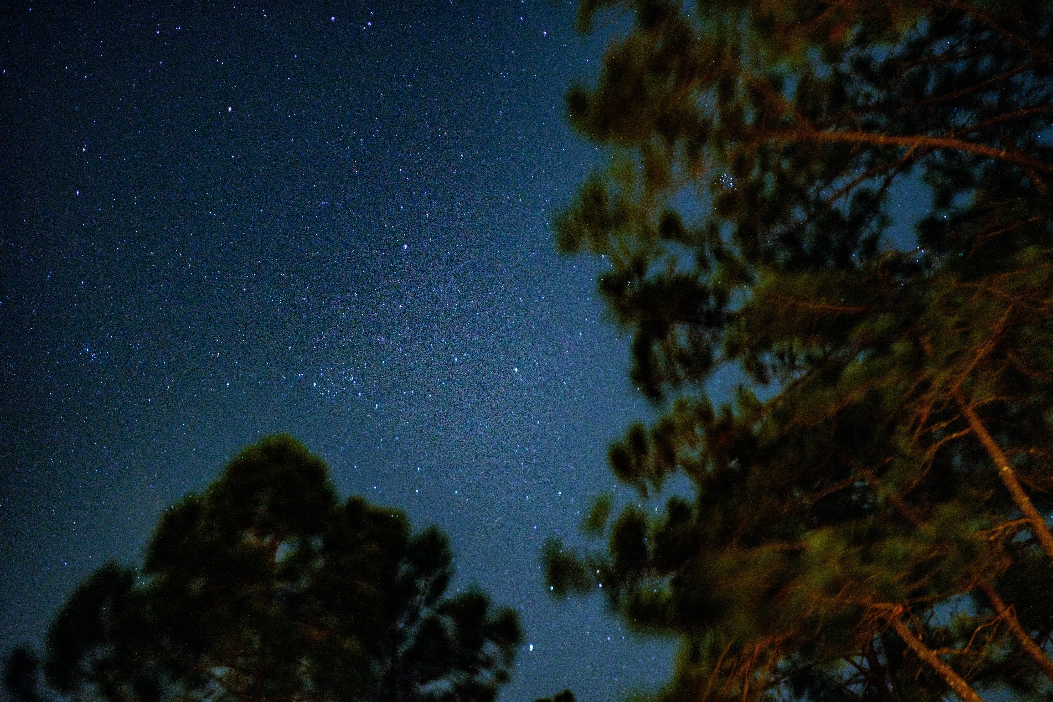 Cắm trại Đà Lạt ảnh 10 Cam trai Da Lat anh 10