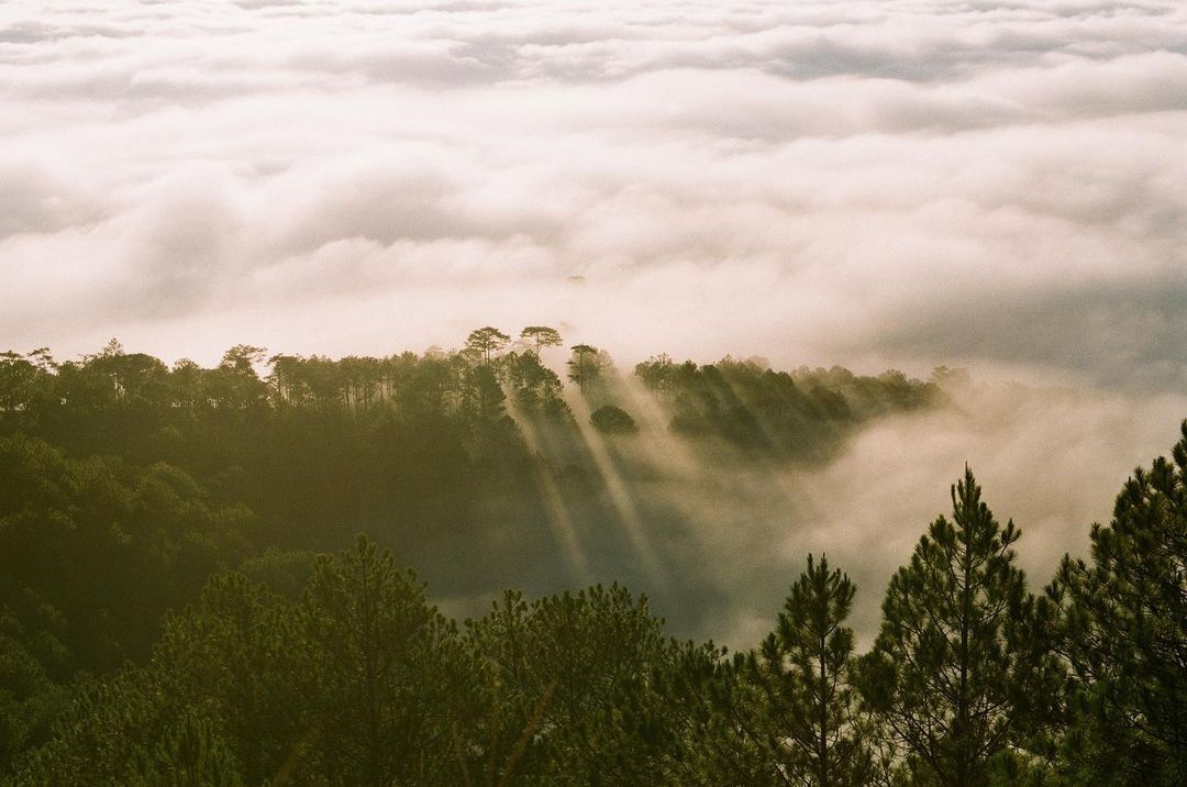 Cắm trại Đà Lạt ảnh 13 Cam trai Da Lat anh 13