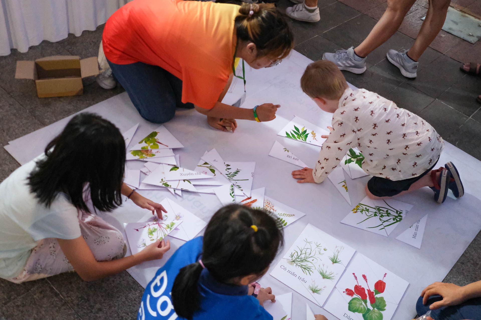 BridgeFest ảnh 17 BridgeFest anh 17