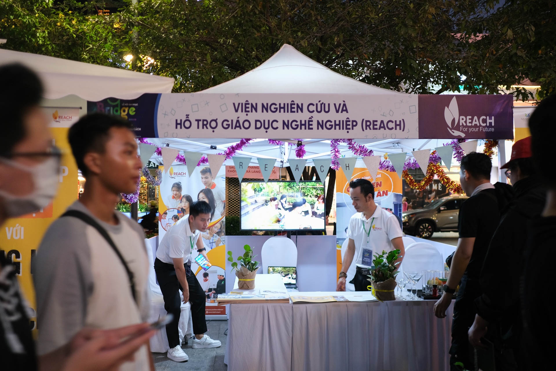 BridgeFest ảnh 3 BridgeFest anh 3