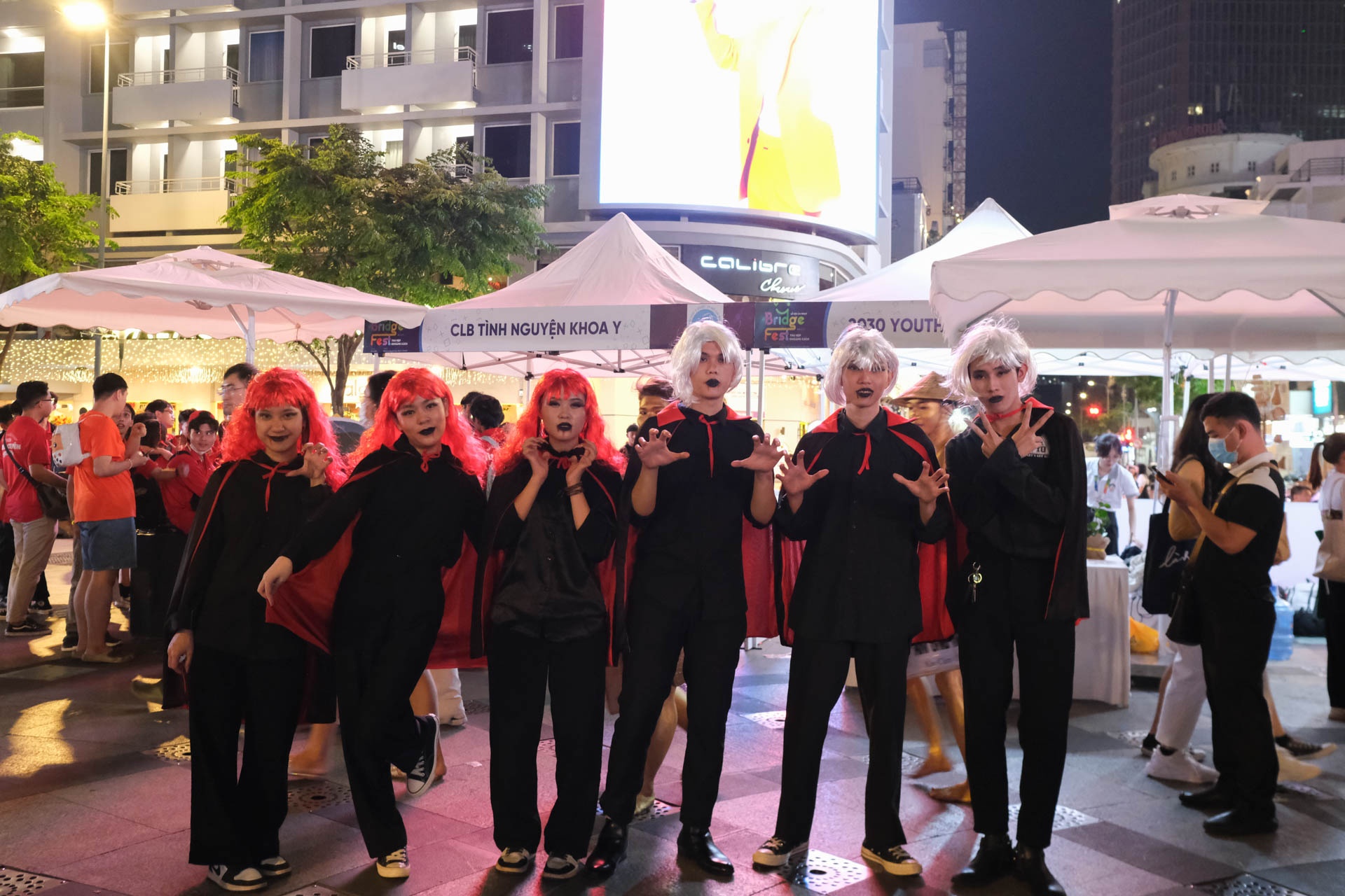 BridgeFest ảnh 16 BridgeFest anh 16