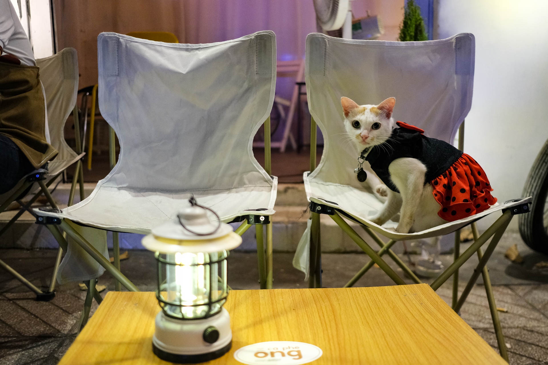 Cà phê ống tre ảnh 10 Ca phe ong tre anh 10