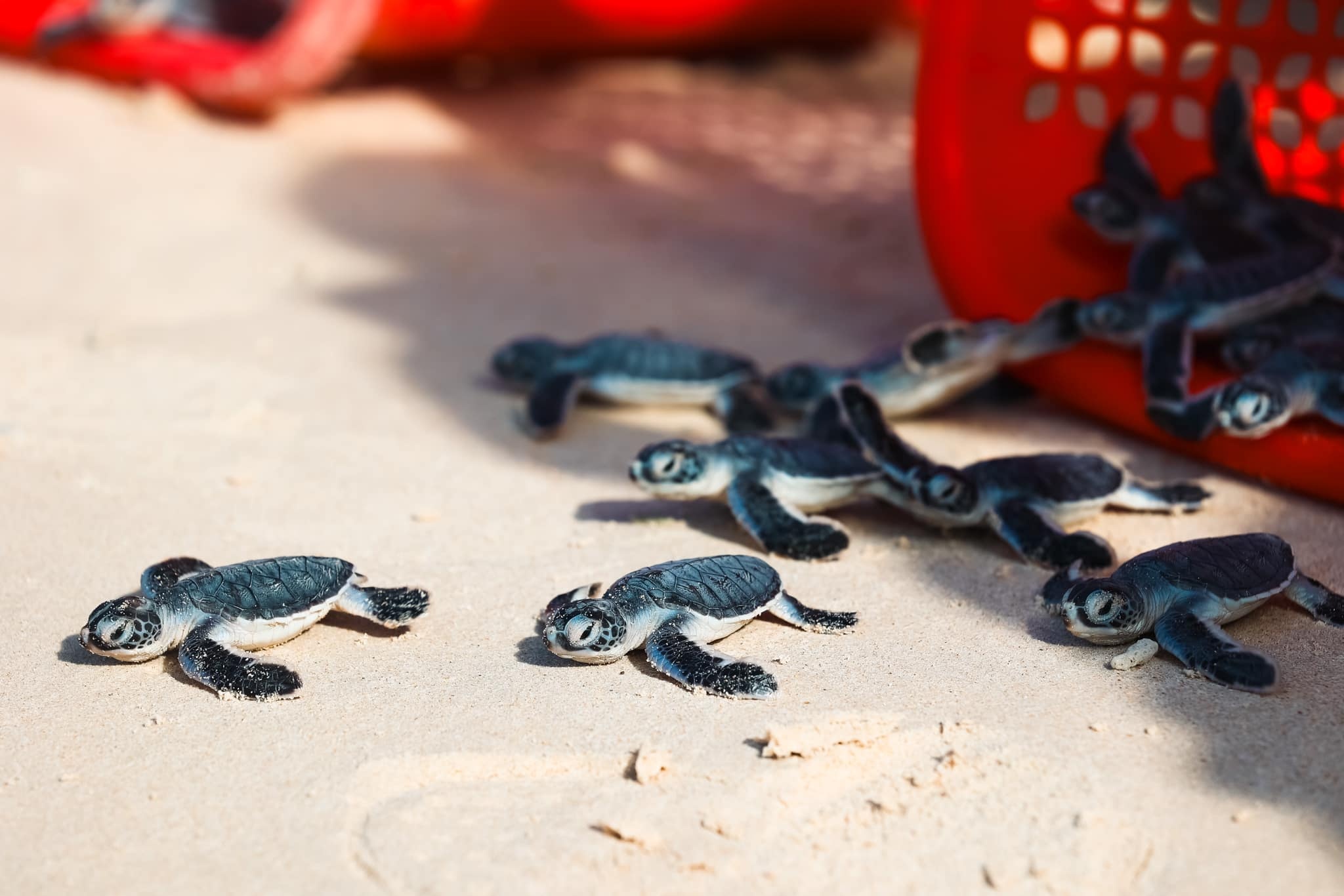 Top dia diem du lich anh 5