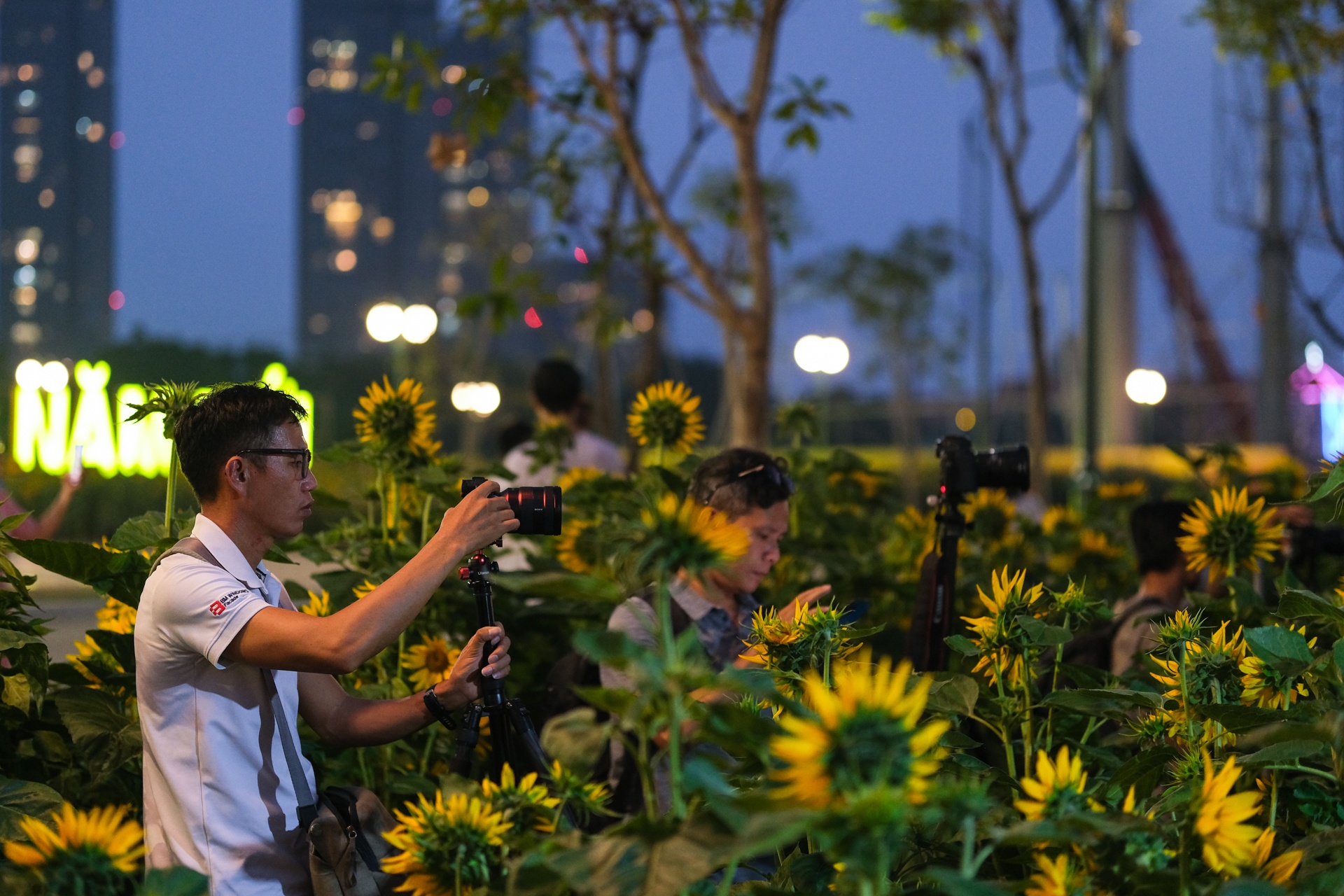 Cong vien bo song anh 15